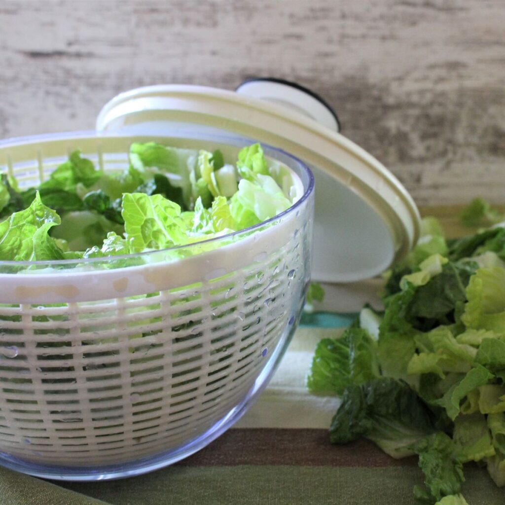 Romaine in a salad spinner. A salad spinner is handy for spinning the excess water off your greens.