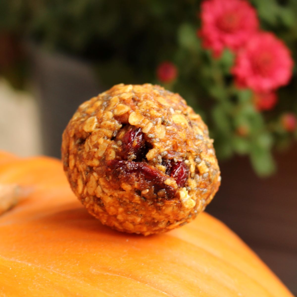 easy-no-bake-pumpkin-energy-balls-freckle-face-foodie