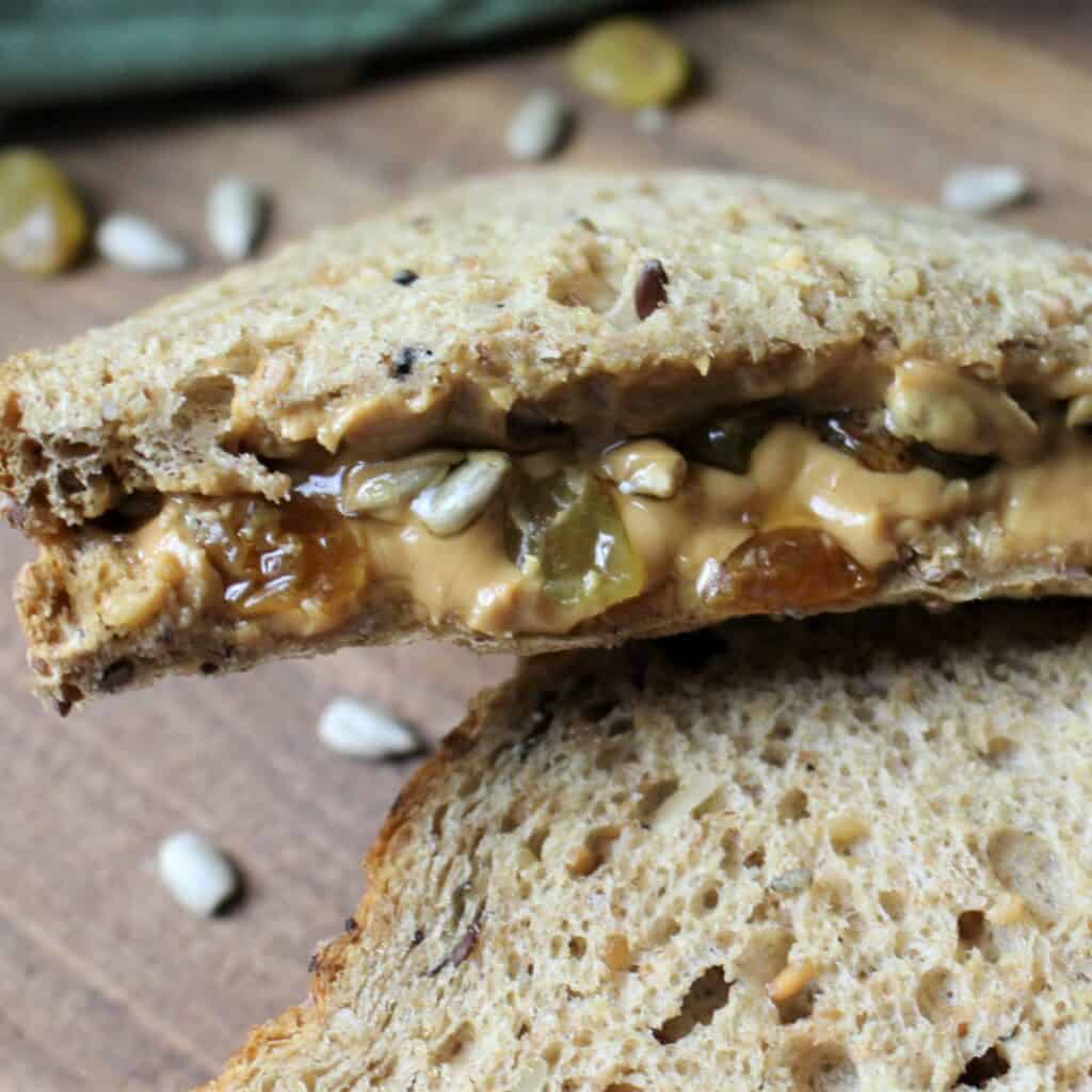 gourmet hiking sandwich wedge with raisins and sunflower seeds pokign out