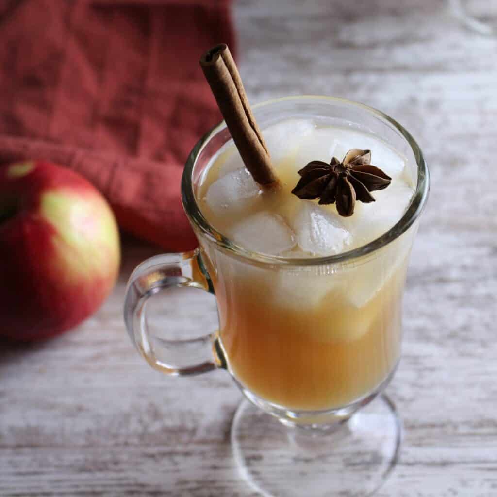 apple cider cocktail wit hcinnamon stick and star anise.