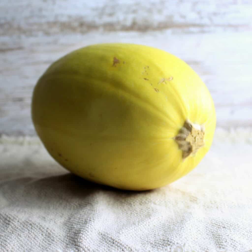 spaghetti squash before cooking