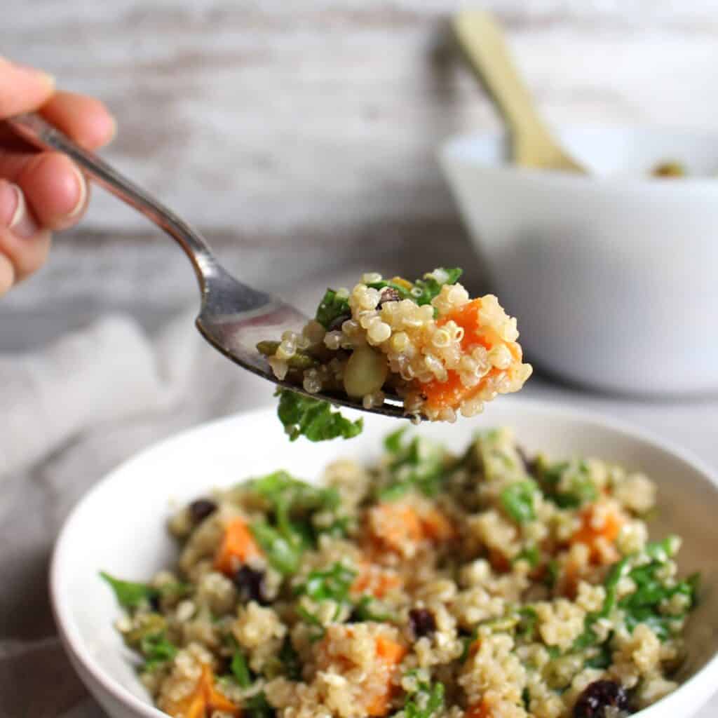 Forkful of Autumn Quinoa Salad.