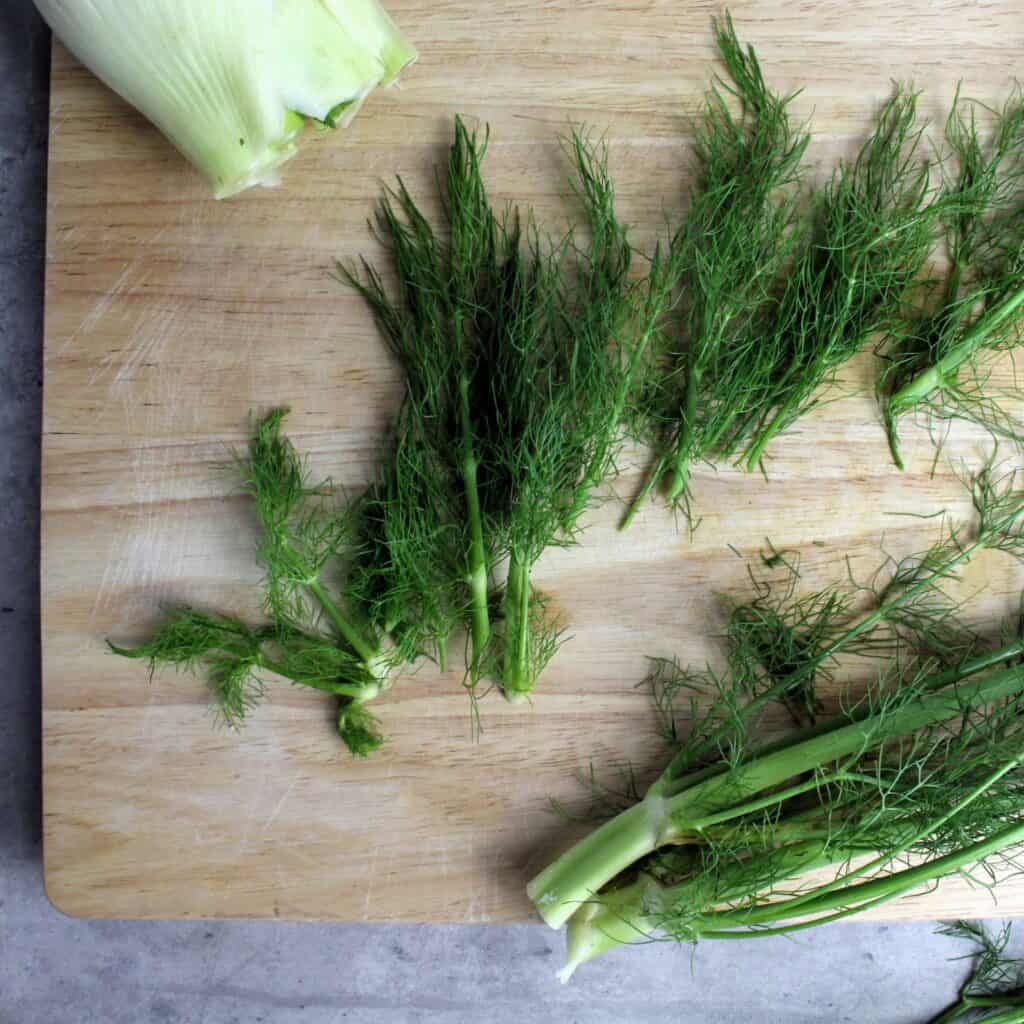 Fennel fronds cut off stalks.