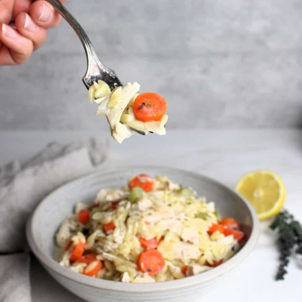 Forkful of chicken, carrot, orzo, celery and thyme.